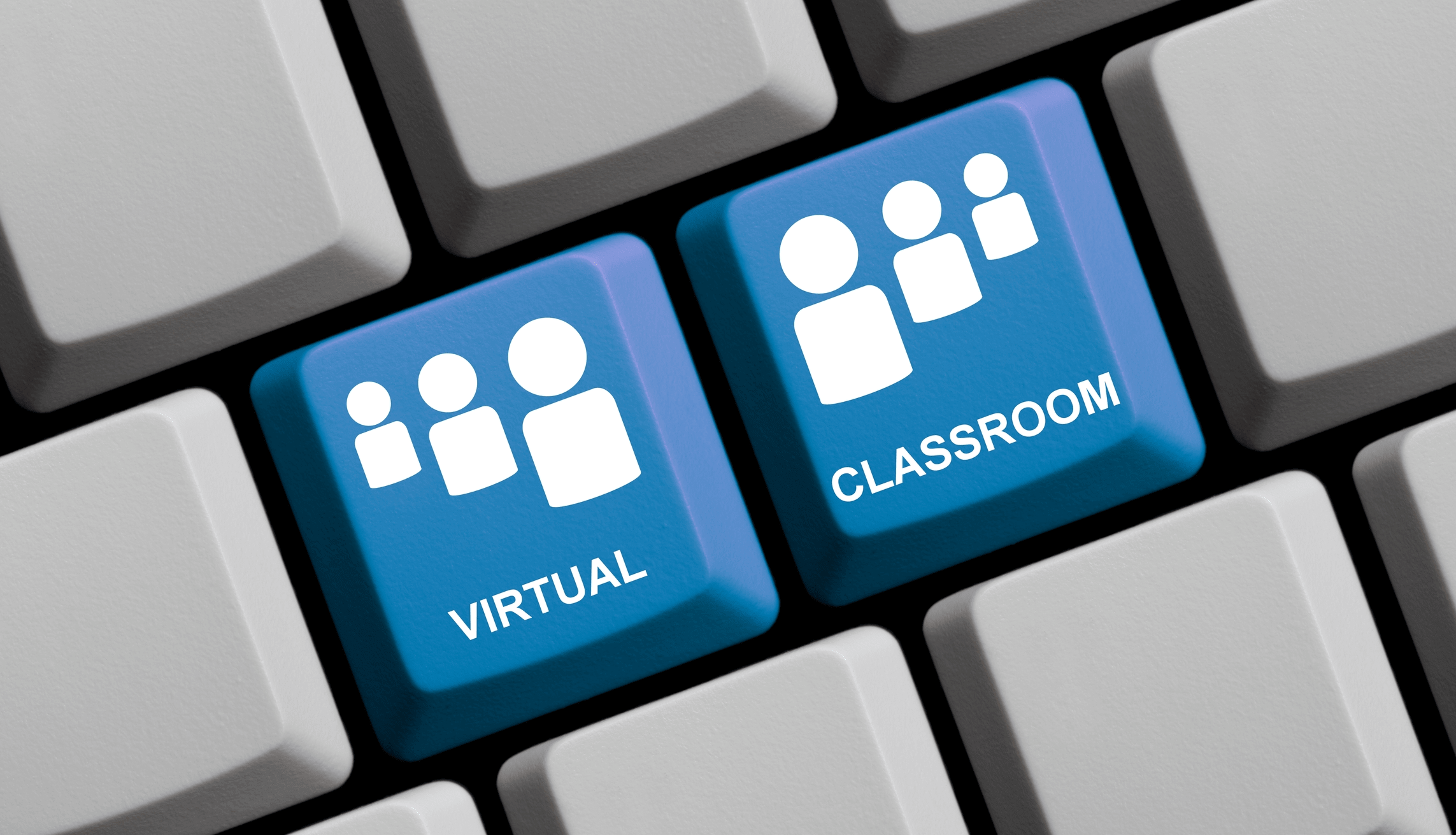 Trade Learners in Virtual Class