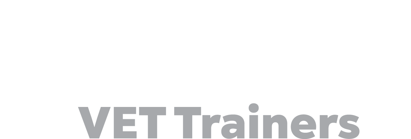 CS0264-VDC-2021-PL-Program-for-VET-Trainers-Logo