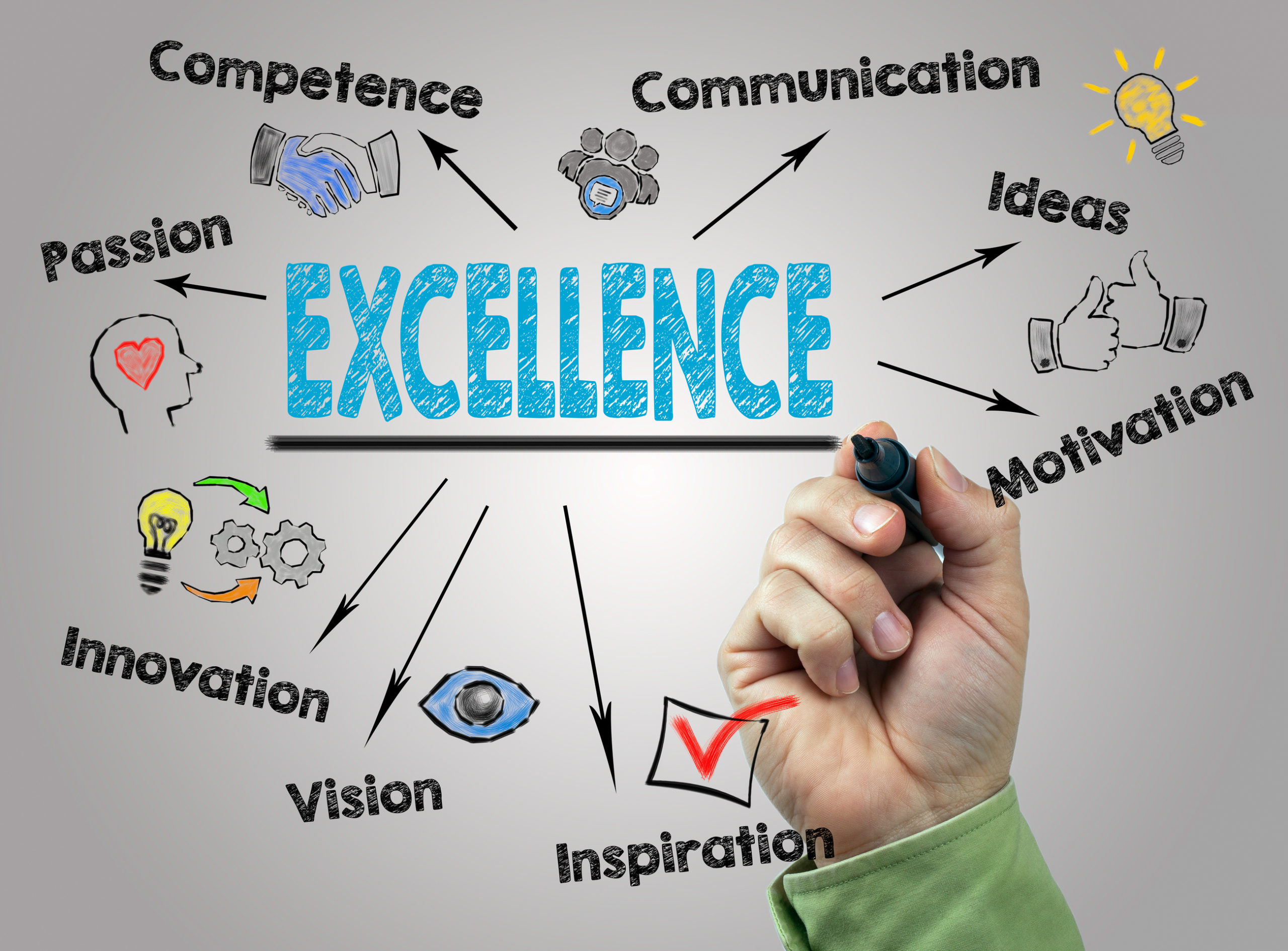 Getting to grips with vocational excellence: What's it mean? - VDC